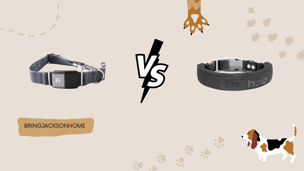 Fi vs Halo Collar - BringJacksonHome