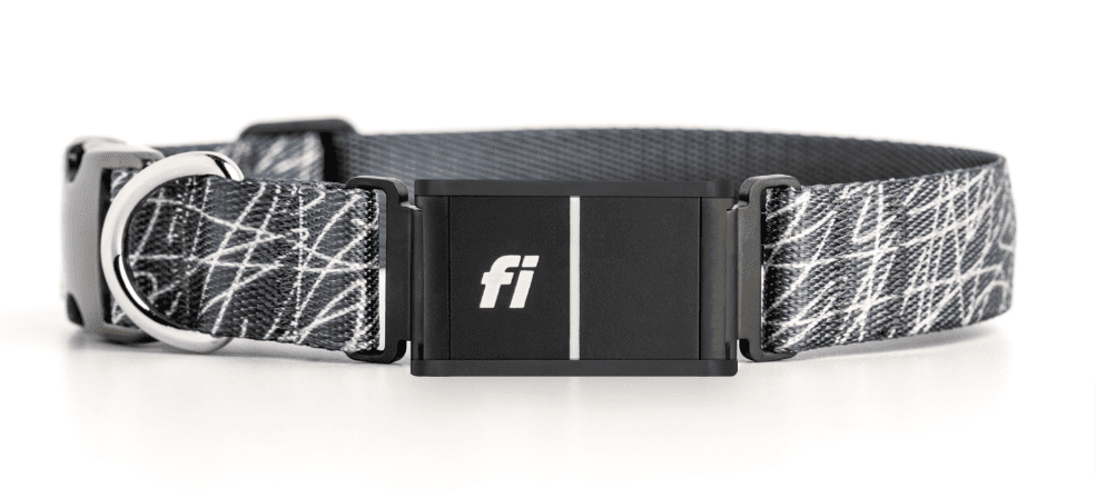 Fi Dog collar