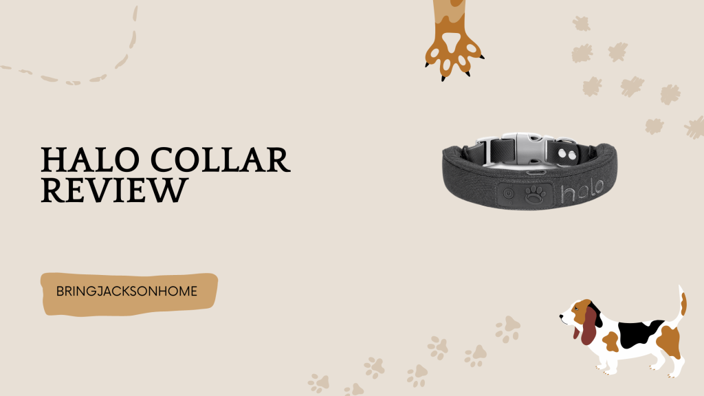 Halo Collar Review - BringJacksonHome