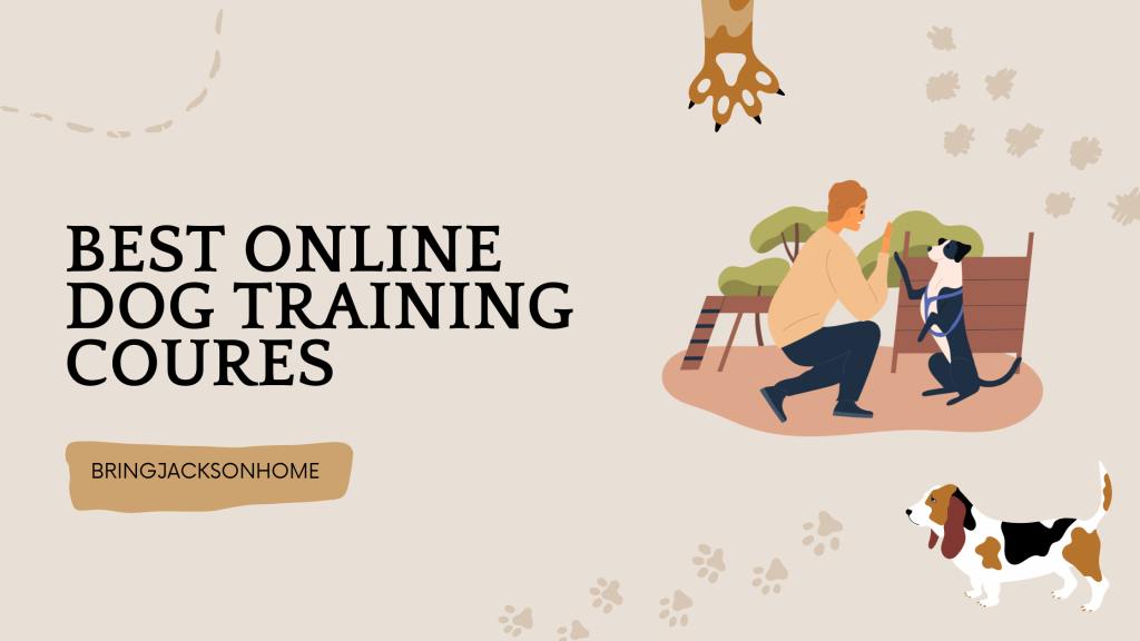 Best Online Dog Training Courses - BringJacksonHome