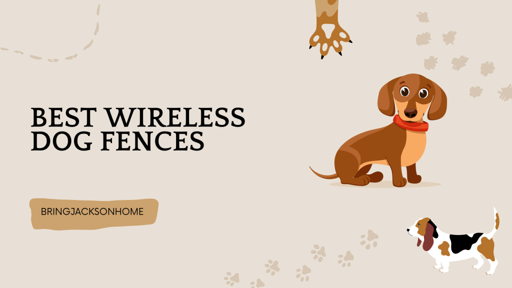 Best Wireless Dog Fences - BringJacksonHome