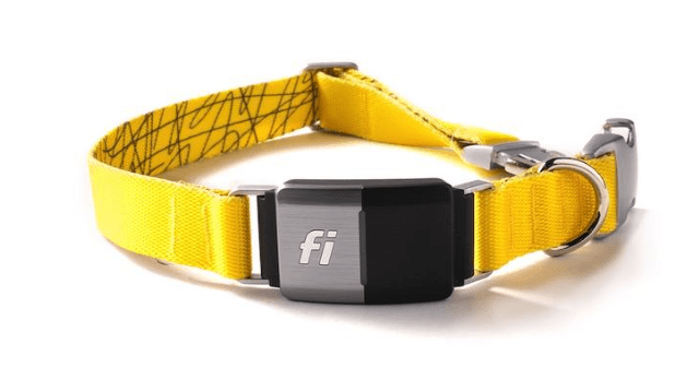 Fi Series wireless dog fence 