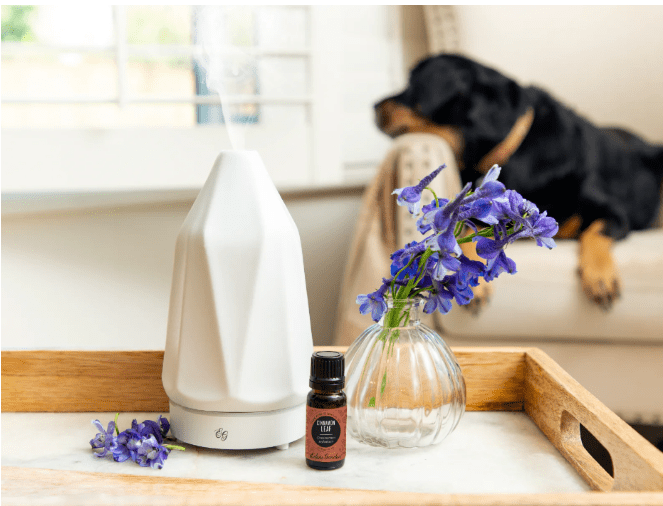 Use air fresheners to get rid of smells