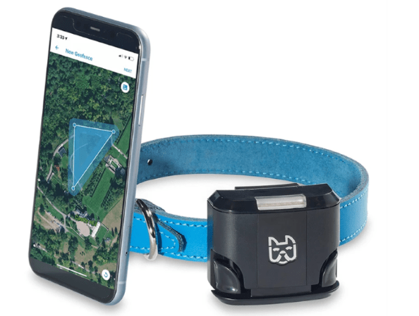 Wagz wireless dog fence