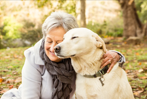 Calm and Quiet Dog Breeds