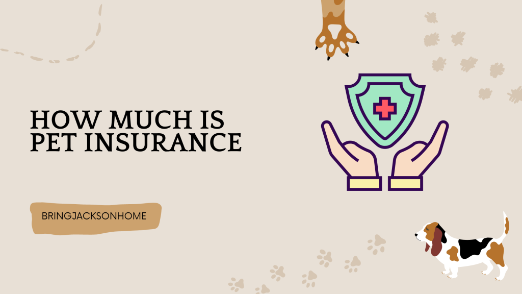 How Much Is Pet Insurance - BringJacksonHome