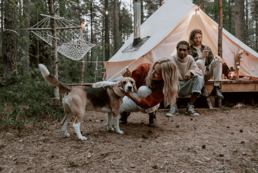 Dog Playing with family members