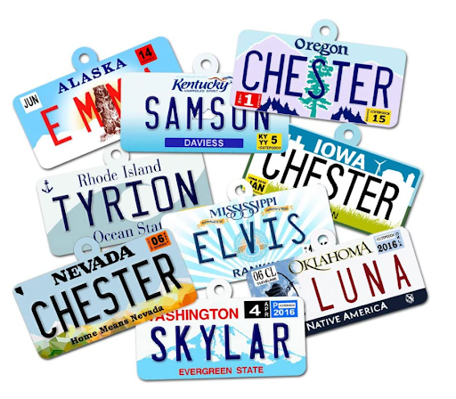  License Plate Custom Dog Tags