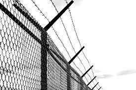 Welded Wire Fencing