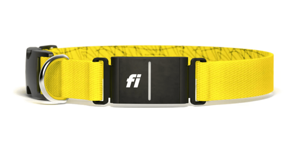 Fi Dog Collar