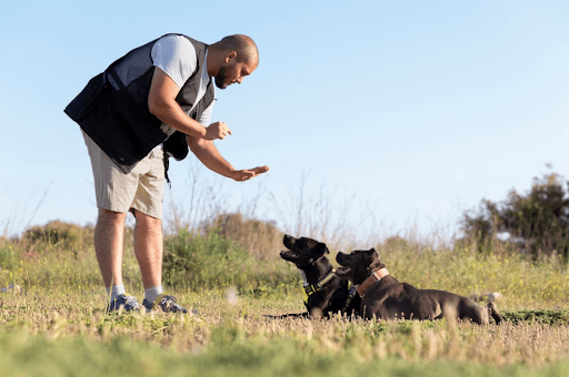 Puppy Zen (Self-Control Training)