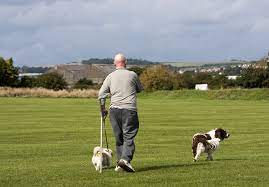 Shadow Game (Obedience or Lead Walking Training)