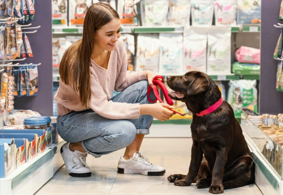 Dogs Allowed In Walmart