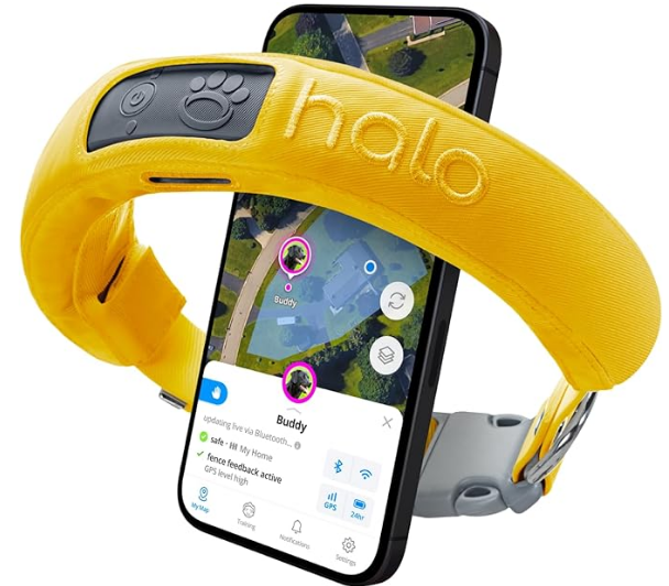 Halo Collar