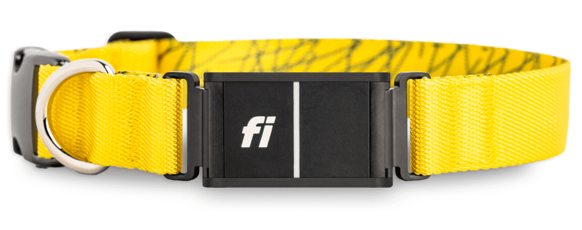 Fi Series 2