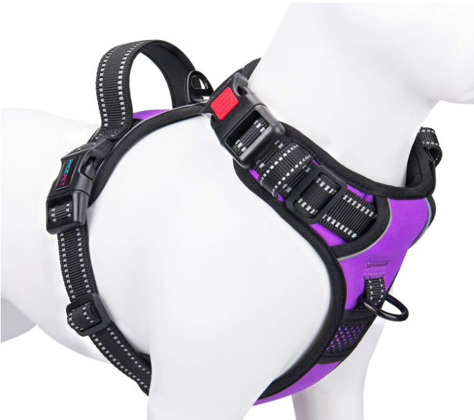 Back-Clip Harness