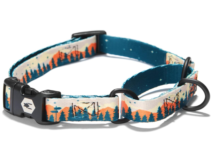 Martingale Collar