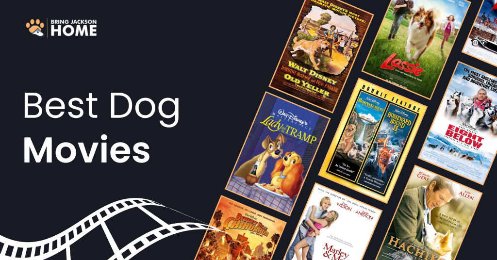 Best Dog Movies