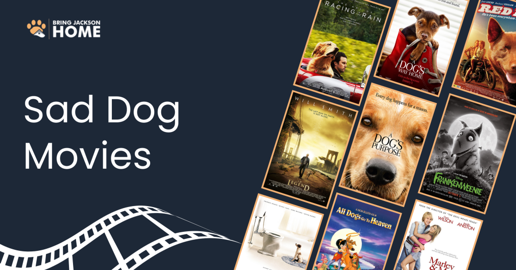 Sad Dog Movies