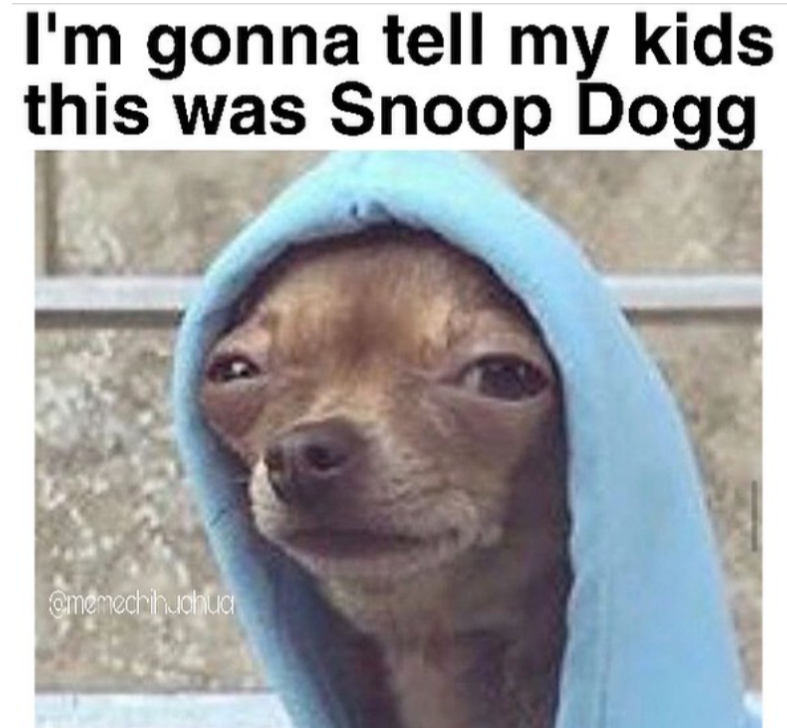 Snoop Dogg Chihuahua