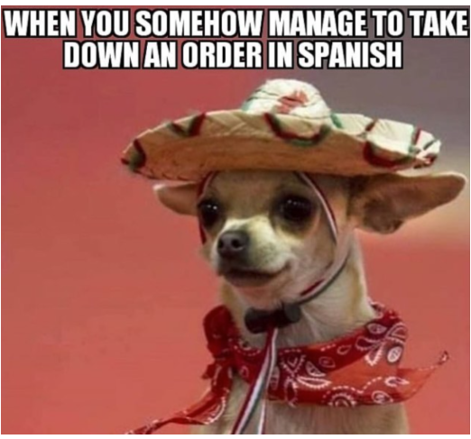 Spanish speaking Chihuahua