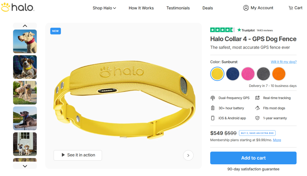Halo Collar 4