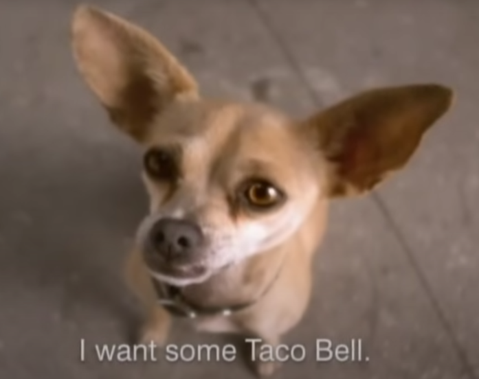 The Catchphrase - Yo Quiero Taco Bell 