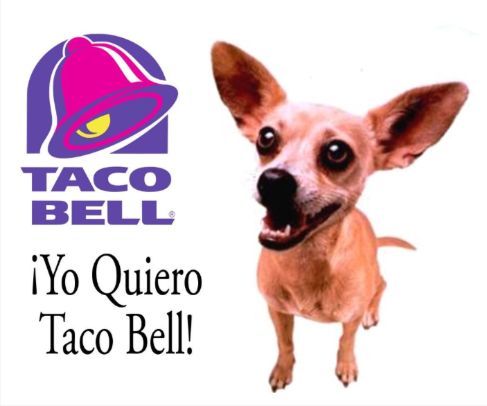 Taco Bell Introduced The Chihuahua